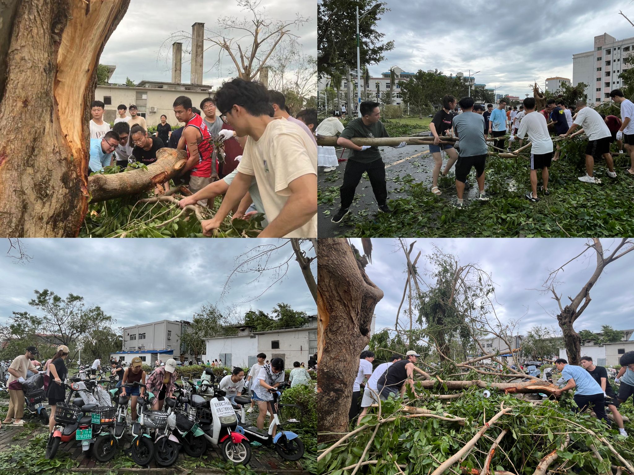 永利集团88304官网